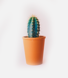 11. Product with video