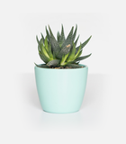 3. Variable product