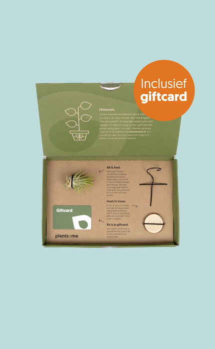 Plantsome giftbox - plantforyou.nl