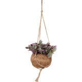 Tradescantia sweetness (Vaderplant) Kokodama (S) - plantforyou.nl