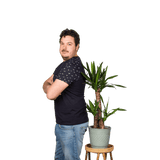 Yucca (Palmlelie) (L) - plantforyou.nl