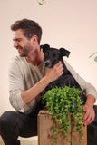 Dischidia Nummularia (Dubbeltjesplant) (S) - plantforyou.nl