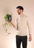 Hedera Helix Wonder (Klimop) (S) - plantforyou.nl