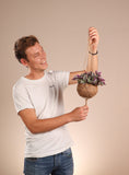 Tradescantia sweetness (Vaderplant) Kokodama (S) - plantforyou.nl