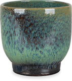 Linn (25cm) - plantforyou.nl