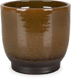 Linn (15cm) - plantforyou.nl