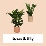 Lucas & Lilly
