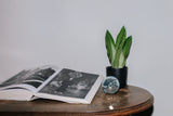 Sansevieria moonshine (Vrouwentong) (M)