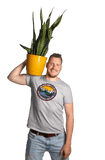 Sansevieria laurentii (Vrouwentong) (M)
