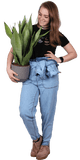 Sansevieria moonshine (Vrouwentong) (M)