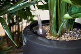 Strelitzia opgemaakt in Baq pot - plantforyou.nl