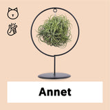 Tillandsia magic ball in ring (Luchtplantje)