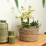 Kolibri Home | Reed Basket bloemschaal - Rieten gevlochten sierschaal - diameter Ø30cm - plantforyou.nl