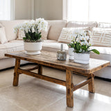 Kolibri Home | Diabolo white dish - plantforyou.nl