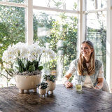 Kolibri Home | Gummy dish - plantforyou.nl