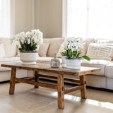 Kolibri Home | Diabolo pot white - Ø6cm - plantforyou.nl
