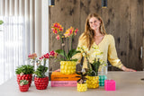 Kolibri Home | Citrus pot yellow - Ø6cm - plantforyou.nl