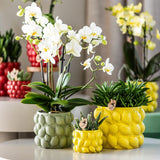 Kolibri Home | Citrus pot yellow - Ø9cm - plantforyou.nl