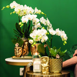 Kolibri Home | Face to face bloempot - Gouden keramieken sierpot Ø6cm - plantforyou.nl