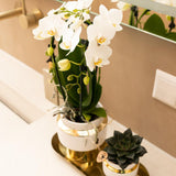 Kolibri Home | Le Chic bloempot - Witte keramieken sierpot met gouden details - Ø6cm - plantforyou.nl