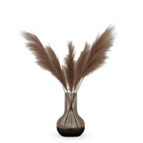 Kunstbloemen Solo - x 6 - 115cm - Pampas Plumes - Brown - plantforyou.nl