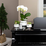 Kolibri Home | Le Chic bloempot - Witte keramieken sierpot met zilveren details - Ø9cm - plantforyou.nl