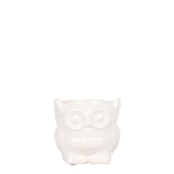 Kolibri Home | Owl bloempot - Witte keramieken sierpot - Ø6cm - plantforyou.nl