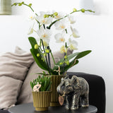 Kolibri Home | Retro groene bloempot - groene keramieken sierpot - Ø9cm - plantforyou.nl