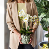 Kolibri Home | Citrus pot groen - Ø12cm - plantforyou.nl