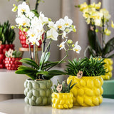 Kolibri Home | Citrus pot groen - Ø6cm - plantforyou.nl