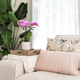 Kolibri Home | Diabolo pot pink - Ø6cm - plantforyou.nl