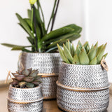 Kolibri Home | Groove bloempot - Gouden keramieken sierpot - Ø6cm - plantforyou.nl
