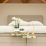 Kolibri Home | Le Chic bloempot - Witte keramieken sierpot met gouden details - Ø9cm - plantforyou.nl