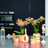 Kolibri Home | Happy Mug bloempot - peach kleurige keramieken sierpot - Ø6cm - plantforyou.nl