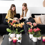 Kolibri Home | Happy Mug bloempot - witte keramieken sierpot - Ø9cm - plantforyou.nl