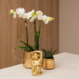 Kolibri Home | Luxury bloempot - Gouden keramieken sierpot - Ø9cm - plantforyou.nl