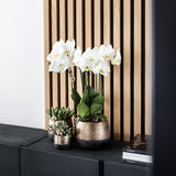 Kolibri Home | Elite pot copper  - Ø12cm - plantforyou.nl