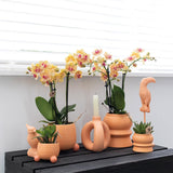 Kolibri Home | Rolling peach bloempot - Peach kleurige keramieken sierpot - Ø6cm - plantforyou.nl