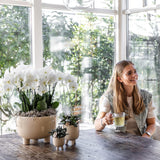 Kolibri Home | Gummy dish - plantforyou.nl