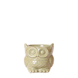 Kolibri Home | Owl bloempot - Groene keramieken sierpot - Ø6cm - plantforyou.nl
