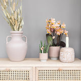 Kolibri Home | Harmony bloempot - Zandkleurige keramieken sierpot - Ø9cm - plantforyou.nl