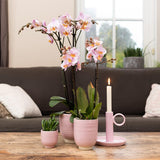 Kolibri Home | Glazed bloempot - Roze keramieken sierpot met glans - Ø6cm - plantforyou.nl