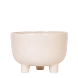 Kolibri Home | Gummy dish - plantforyou.nl