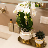Kolibri Home | Le Chic bloempot - Witte keramieken sierpot met gouden details - Ø9cm - plantforyou.nl