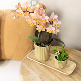 Kolibri Home | Retro khaki bloempot - khaki kleurige keramieken sierpot - Ø9cm - plantforyou.nl