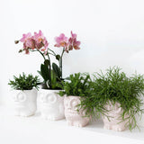 Kolibri Home | Owl bloempot - Witte keramieken sierpot - Ø6cm - plantforyou.nl