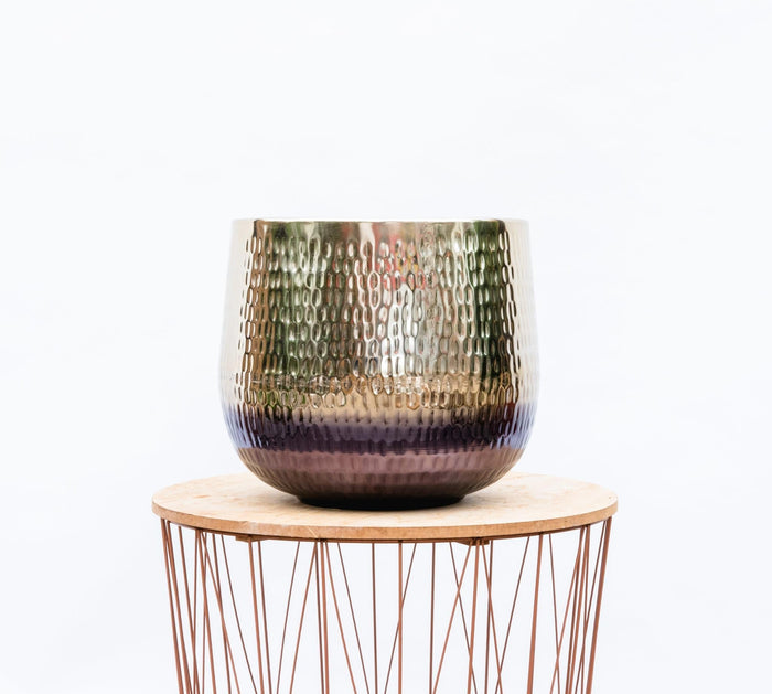 Jenna Gold - 46x38 - plantforyou.nl