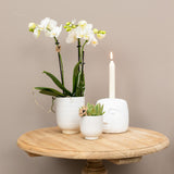 Kolibri Home | Kaarsenstandaard - Candle Face - 12cm hoog - White - plantforyou.nl