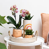 Kolibri Home | Rainbow peach bloempot - Crème keramieken sierpot met print - plantforyou.nl