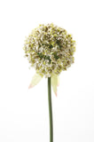 Kunstbloemen Solo - x 7 - 70 cm - Allium Flower - White - plantforyou.nl